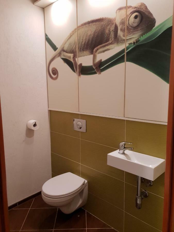 Apartament Szafir Zielona Góra Extérieur photo